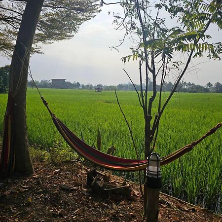 Tung Tong Homestay & Camping Mae Rim Luaran gambar