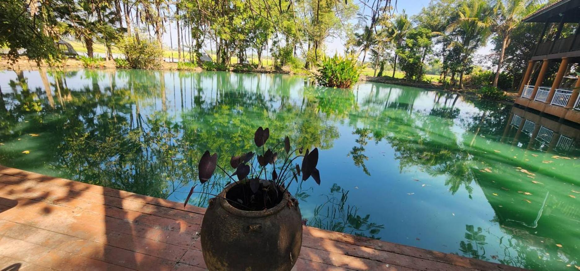 Tung Tong Homestay & Camping Mae Rim Luaran gambar