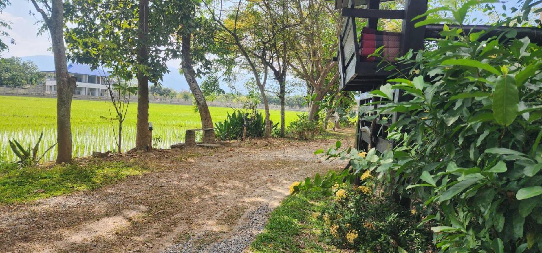 Tung Tong Homestay & Camping Mae Rim Luaran gambar