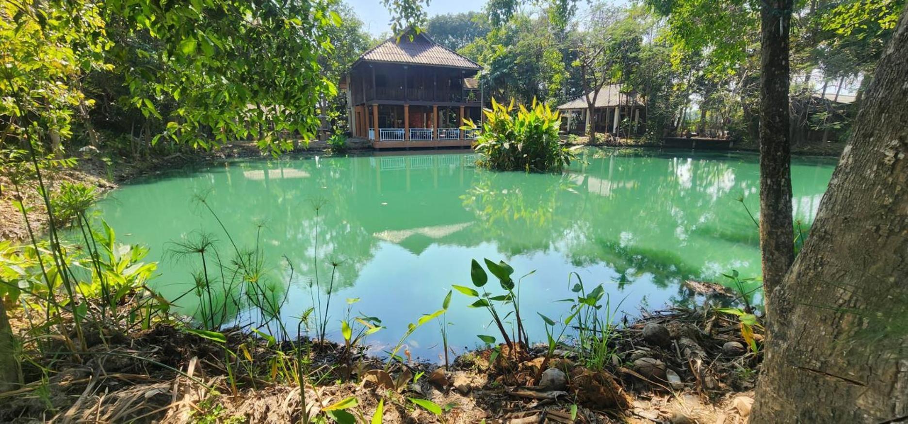 Tung Tong Homestay & Camping Mae Rim Luaran gambar