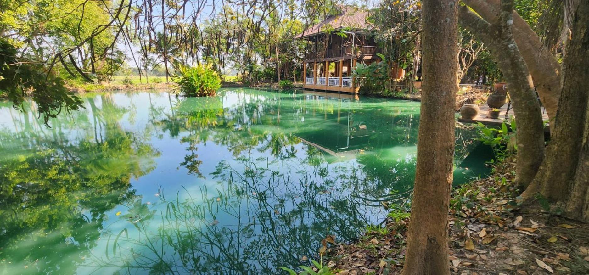 Tung Tong Homestay & Camping Mae Rim Luaran gambar