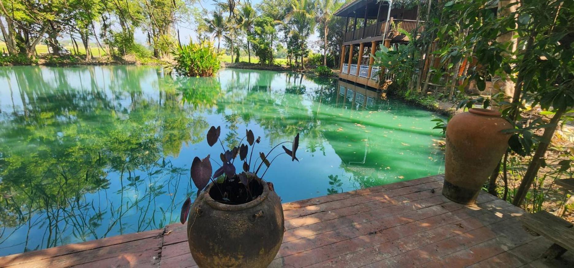 Tung Tong Homestay & Camping Mae Rim Luaran gambar