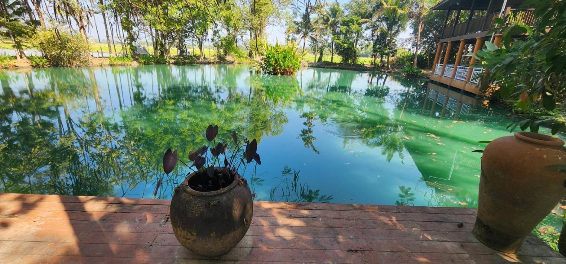 Tung Tong Homestay & Camping Mae Rim Luaran gambar