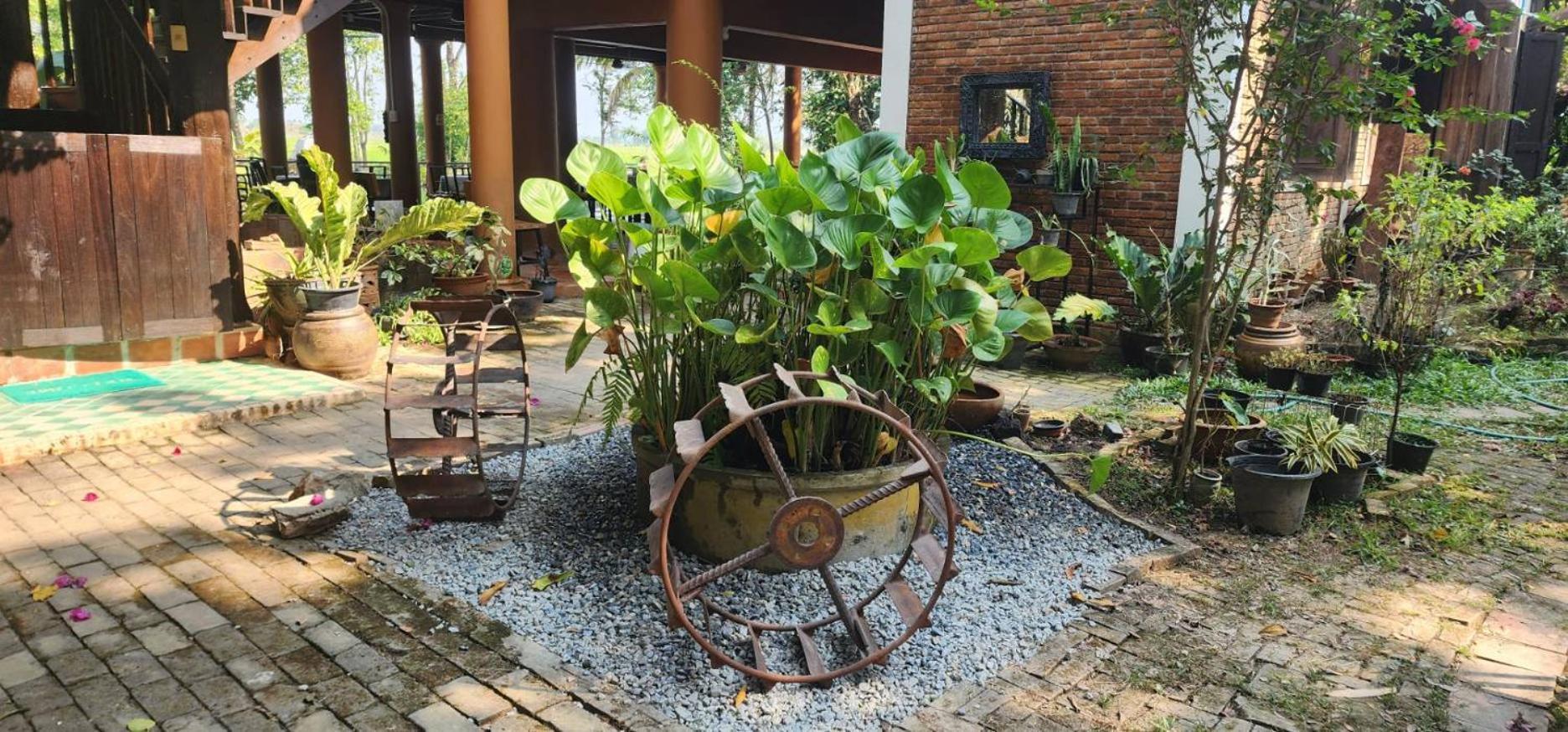 Tung Tong Homestay & Camping Mae Rim Luaran gambar