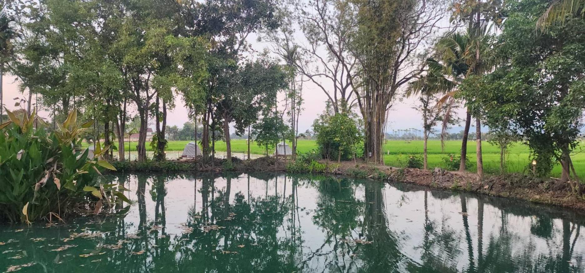 Tung Tong Homestay & Camping Mae Rim Luaran gambar