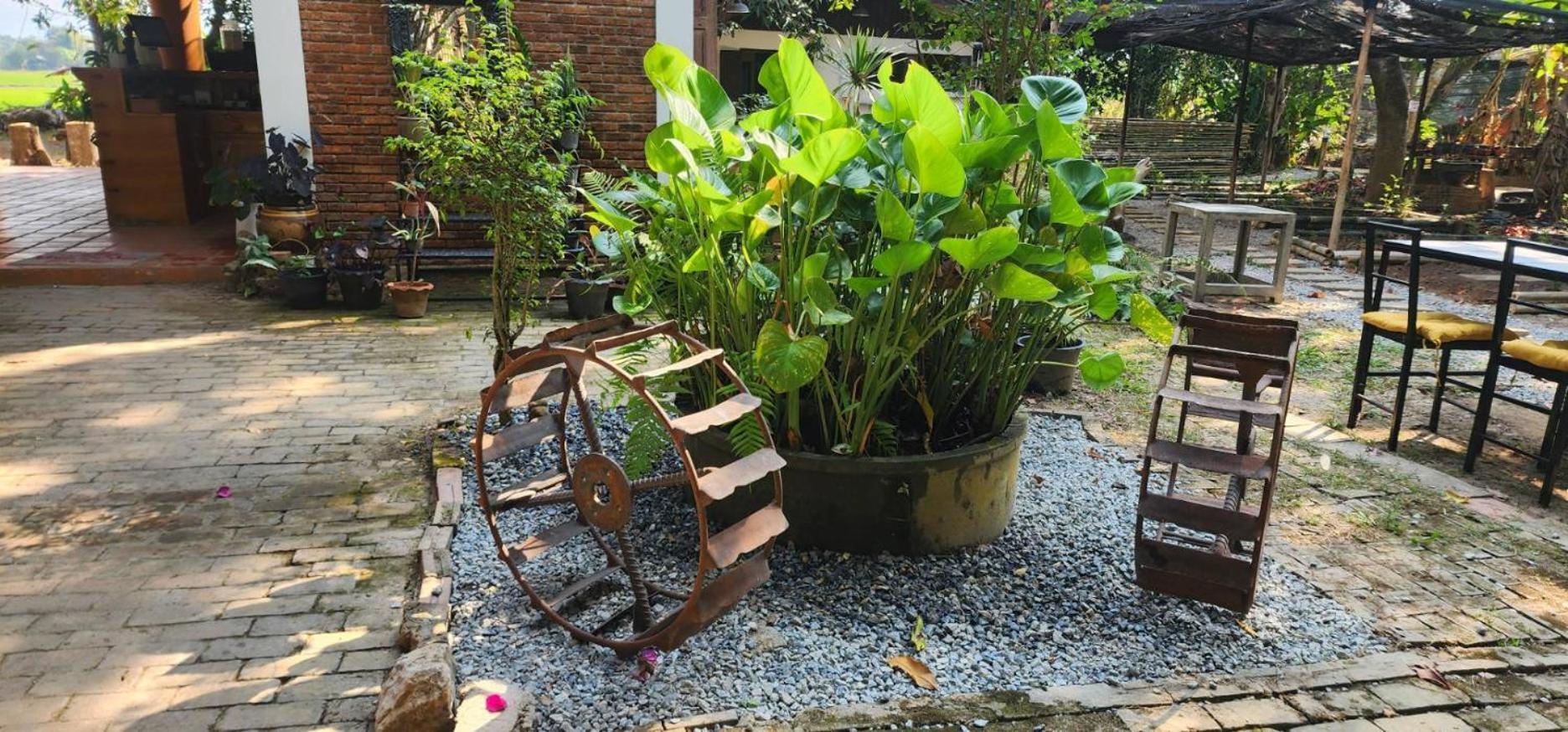 Tung Tong Homestay & Camping Mae Rim Luaran gambar