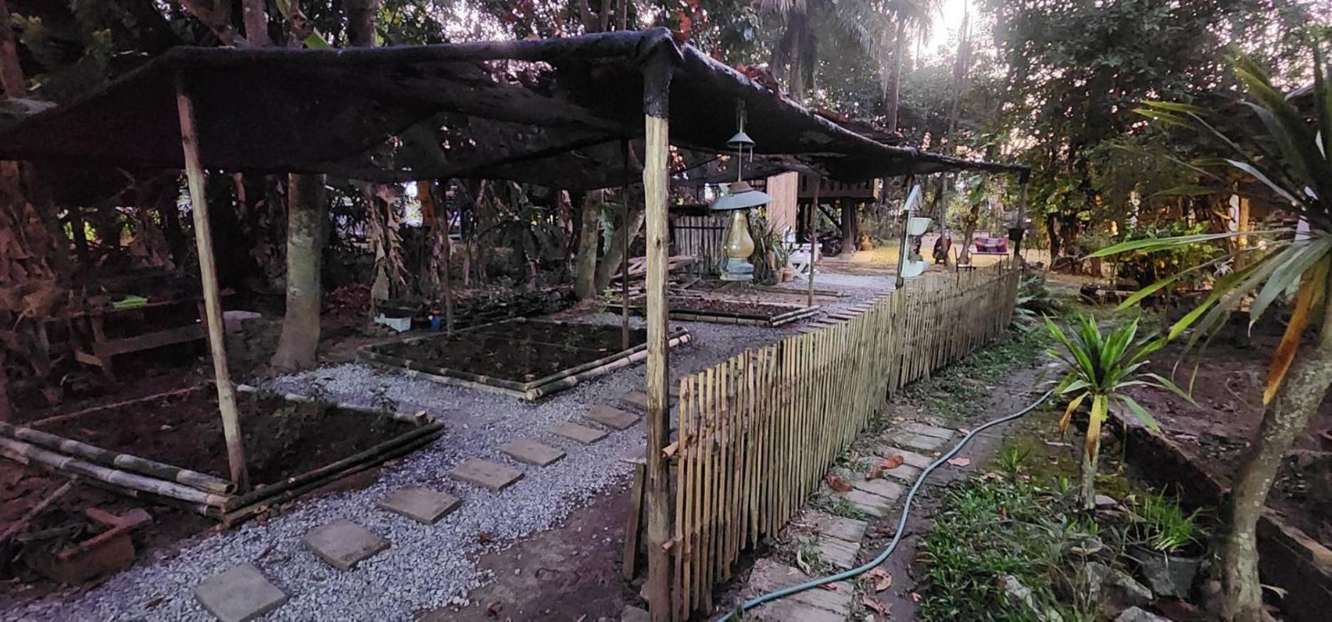 Tung Tong Homestay & Camping Mae Rim Luaran gambar