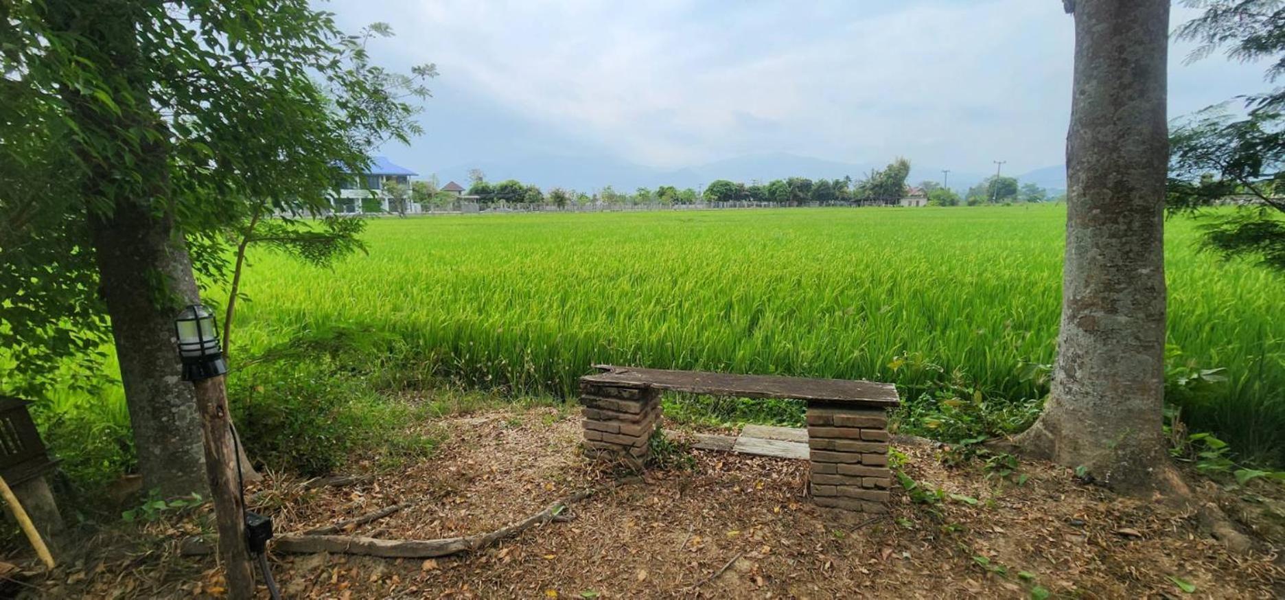 Tung Tong Homestay & Camping Mae Rim Luaran gambar