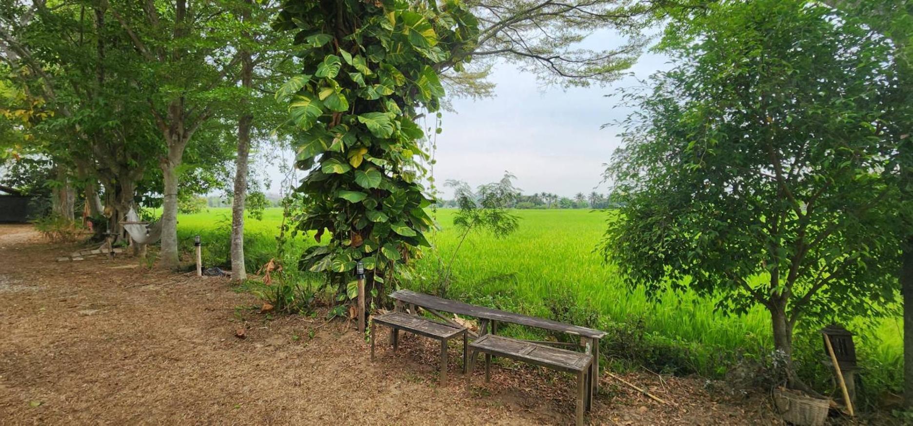 Tung Tong Homestay & Camping Mae Rim Luaran gambar