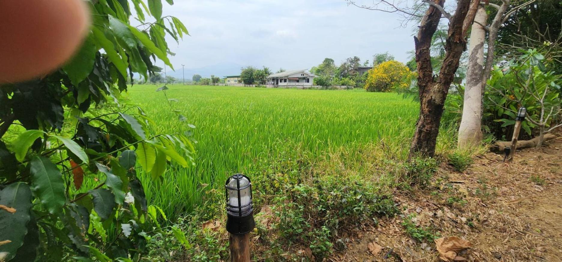 Tung Tong Homestay & Camping Mae Rim Luaran gambar
