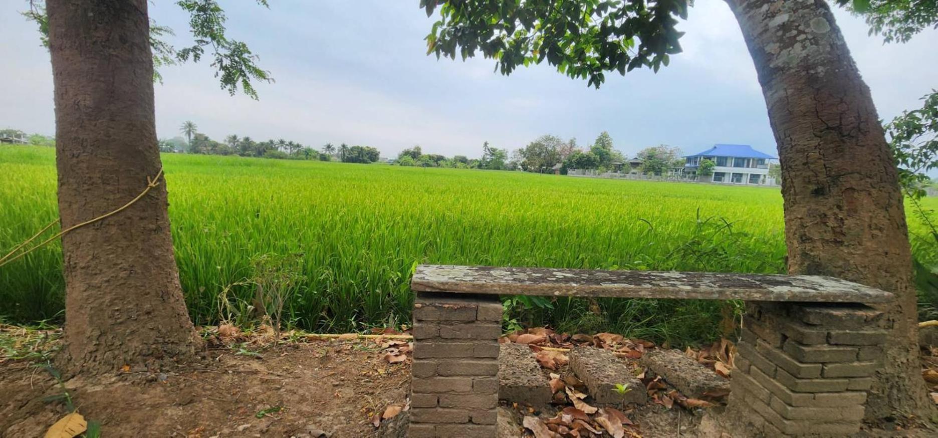 Tung Tong Homestay & Camping Mae Rim Luaran gambar