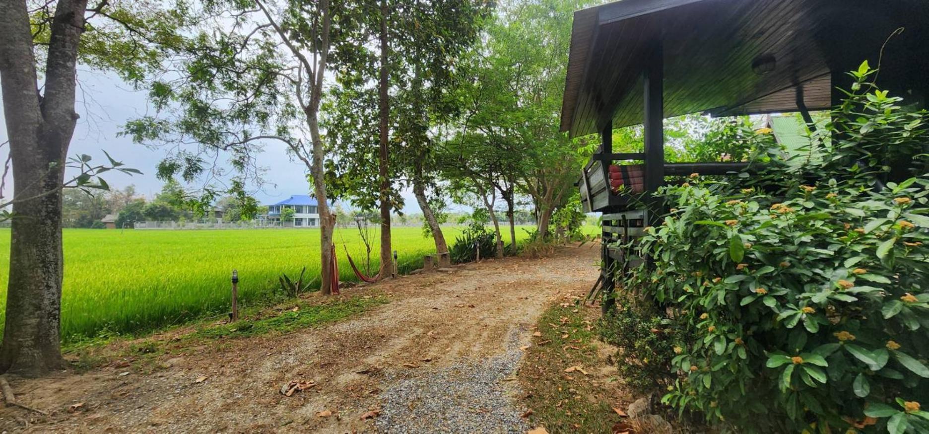 Tung Tong Homestay & Camping Mae Rim Luaran gambar