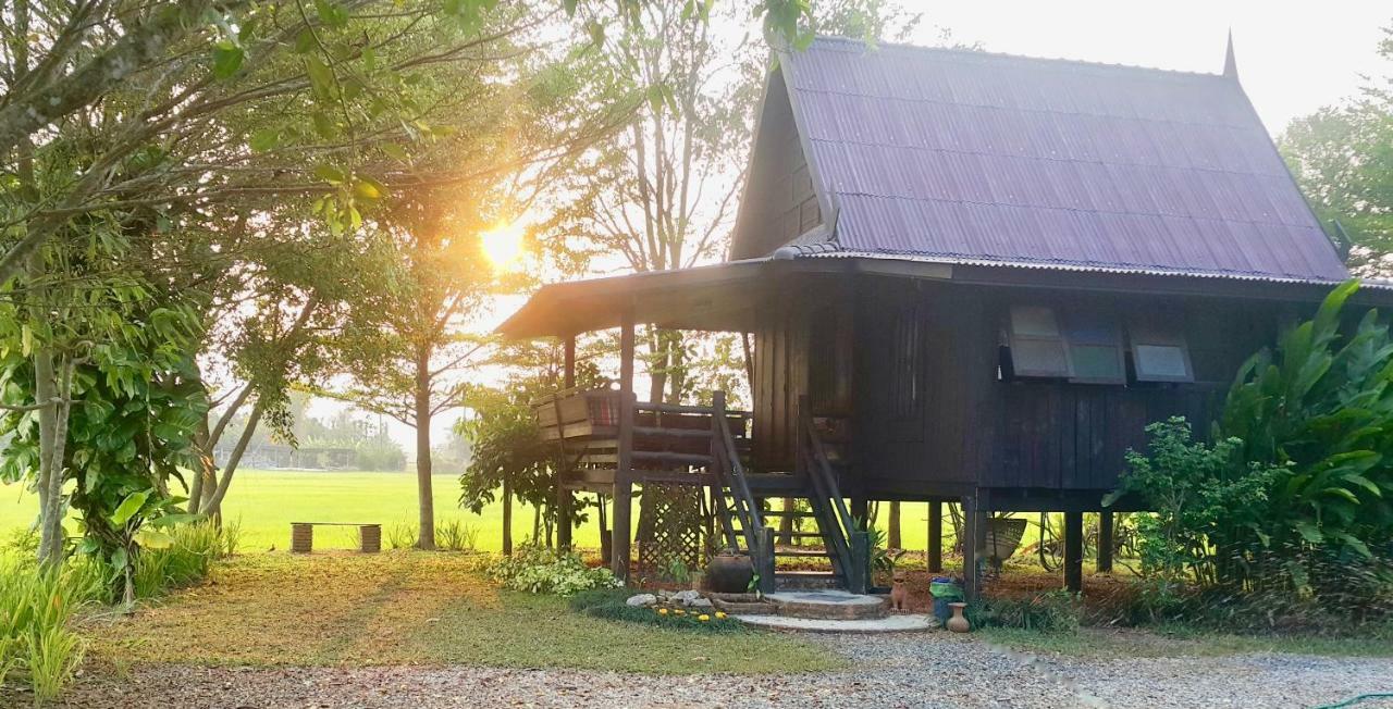 Tung Tong Homestay & Camping Mae Rim Luaran gambar